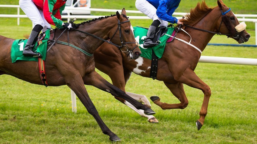 Horse racing cricline69